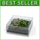Ultra-Clear Glass Air Aquarium - 10.63" Shallow Tank for Vibrant Landscapes=%