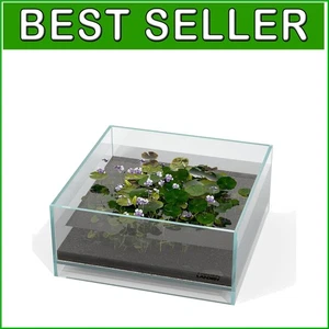 Ultra-Clear Glass Air Aquarium - 10.63" Shallow Tank for Vibrant Landscapes=%
