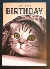 Funny Birthday Card 