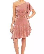 Gianni Bini Glitzy Daze One Shoulder Ruffle Pink Velveteen Dress Women’s L (NWT)