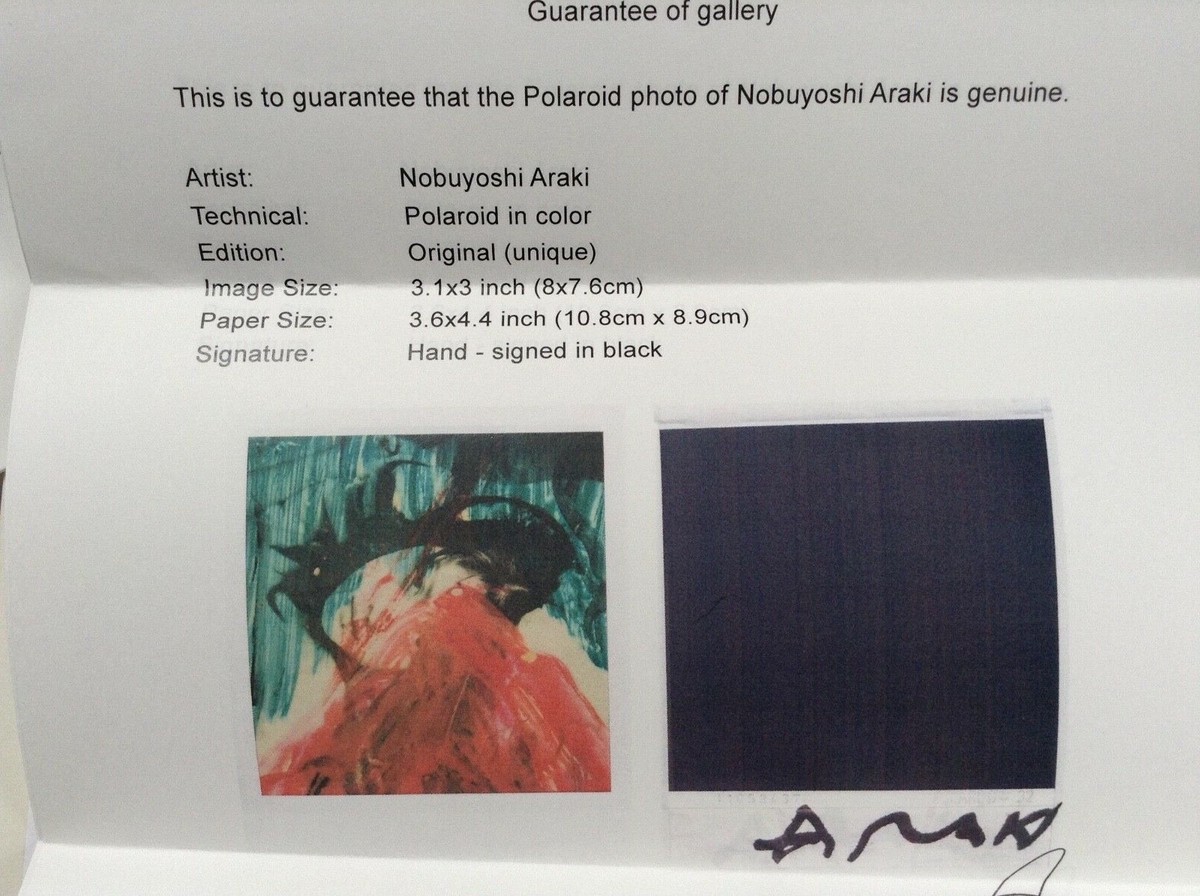 NOBUYOSHI ARAKI Original SIGNED Polaroid with COA | eBay NOBUYOSHI ARAKI Original SIGNED Polaroid with COA | eBay