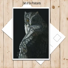 Set of Six Postards, NIght Owl  -  Wildlife Print from my Own Original Painting