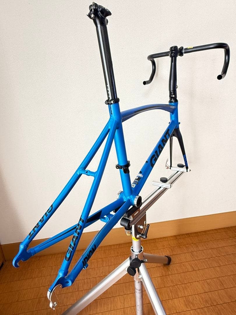 Giant Idiom 0 2017 Folding Bike Frame Set | eBay