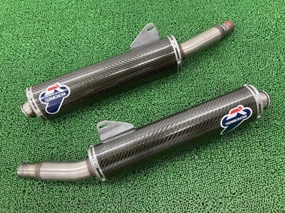 DUCATI MS4R 2001model Genuine TERMIGNONI Slip-on Muffler Left & Right