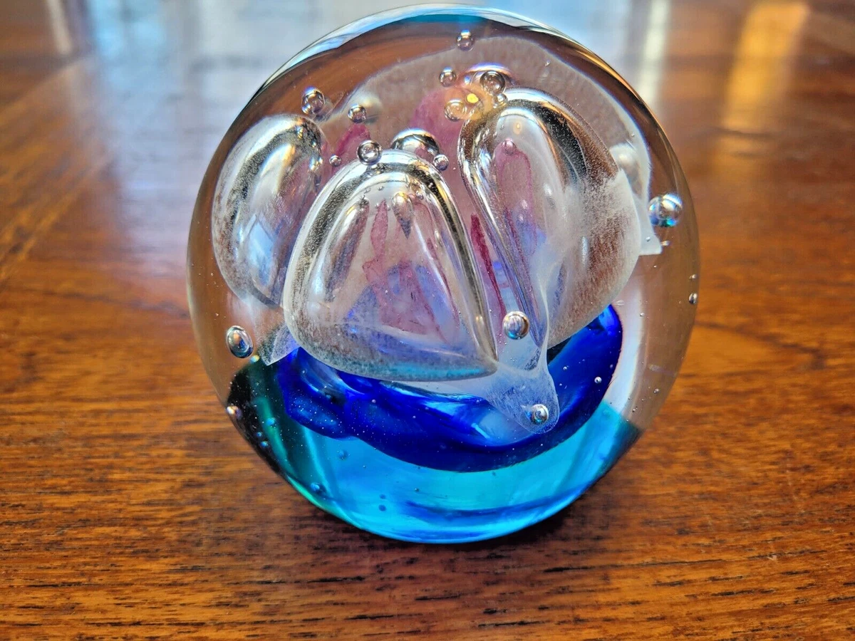 Bloodybelly Comb Jelly