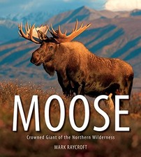 MOOSE: CROWNED GIANT OF THE NORTHERN WILDERNESS By Mark Raycroft **Excellent**