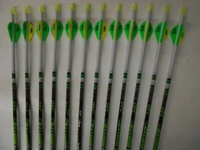 12 Gold Tip Hunter XT 340 Carbon Arrows Custom White Dip Crest/Blazer Vanes