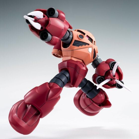 Premium BANDAI HG 1/144 AMAZING Z'GOK MODEL KIT GUNDAM BUILD