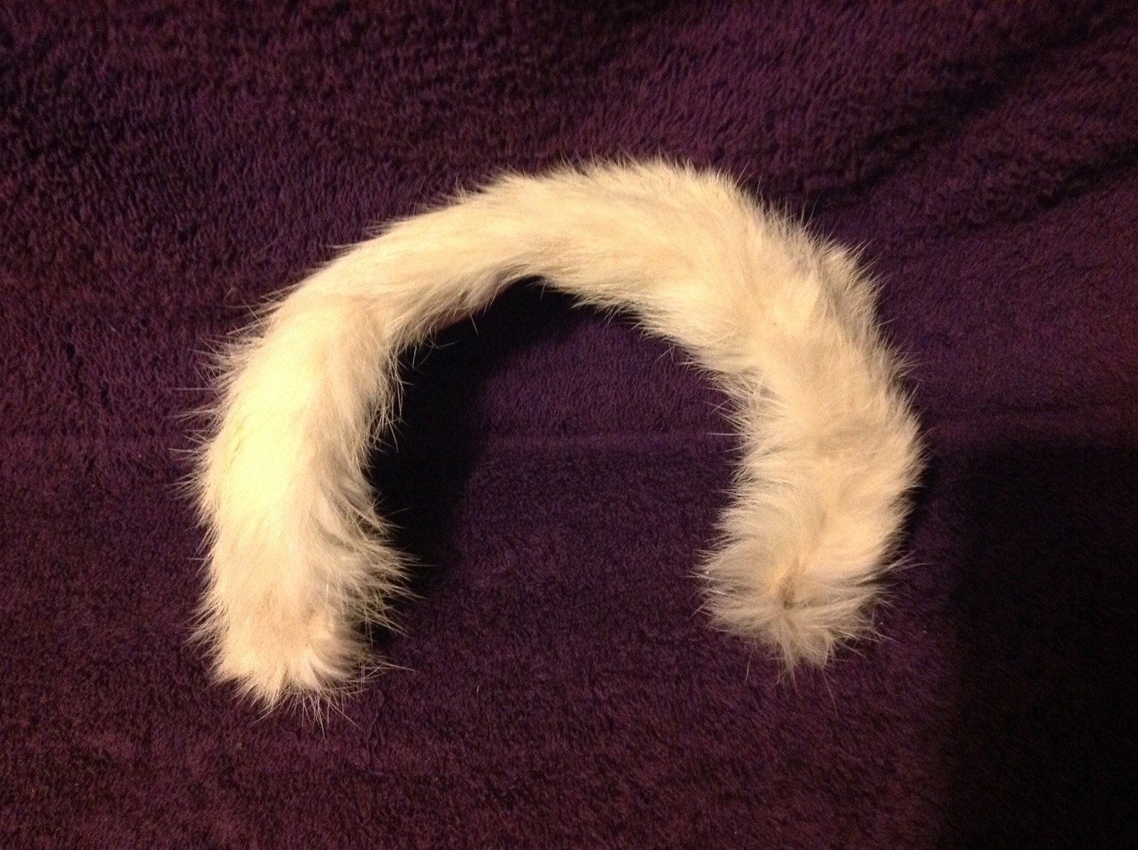 Picture 1 of 4