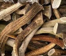 8" Elk Antler Dog Chew – C Grade L Natural Dog Treat or Craft Supply – 2 Pieces