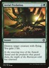 Aerial Predation 154 IMA Common 2017 Green Instant Destroy Flying MTG BD