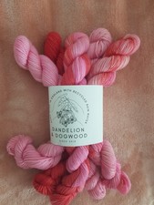 Dandelion & Dogwood Luxury Hand Dyed Yarn 5 x 20g Minis Set 4ply 