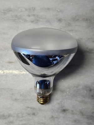 GE 23423 - 21A/R40/FL Swimming Pool Light Bulb 300w 12v 2,850 Lumens