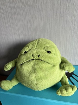 Jellycat Ricky Regenfrosch Original nur Zustand Codes auf Fotos ausgestellt 