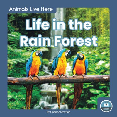 Animals Live Here: Life in the Rain Forest by Stratton, Connor