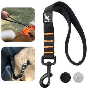 short dog training leash