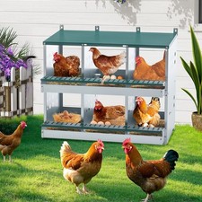 6-Compartment Roll Away Chicken Nesting Box Green 