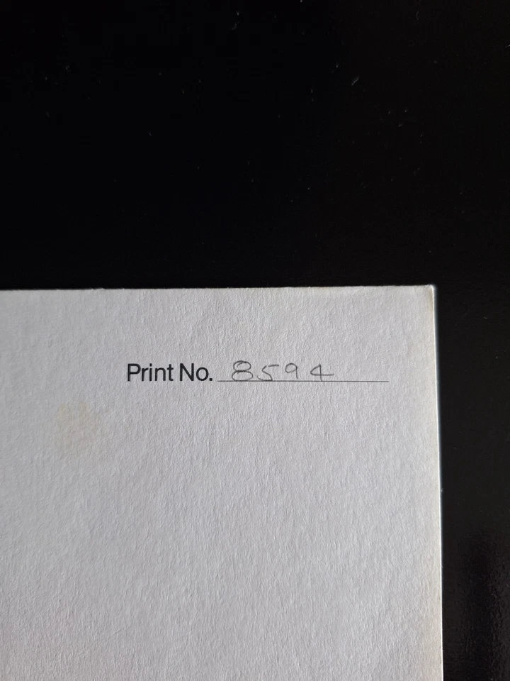 Signed 1988 Oregon Waterfowl Stamp Print Darrell Davis #8594/11825 - Image 4 of 4