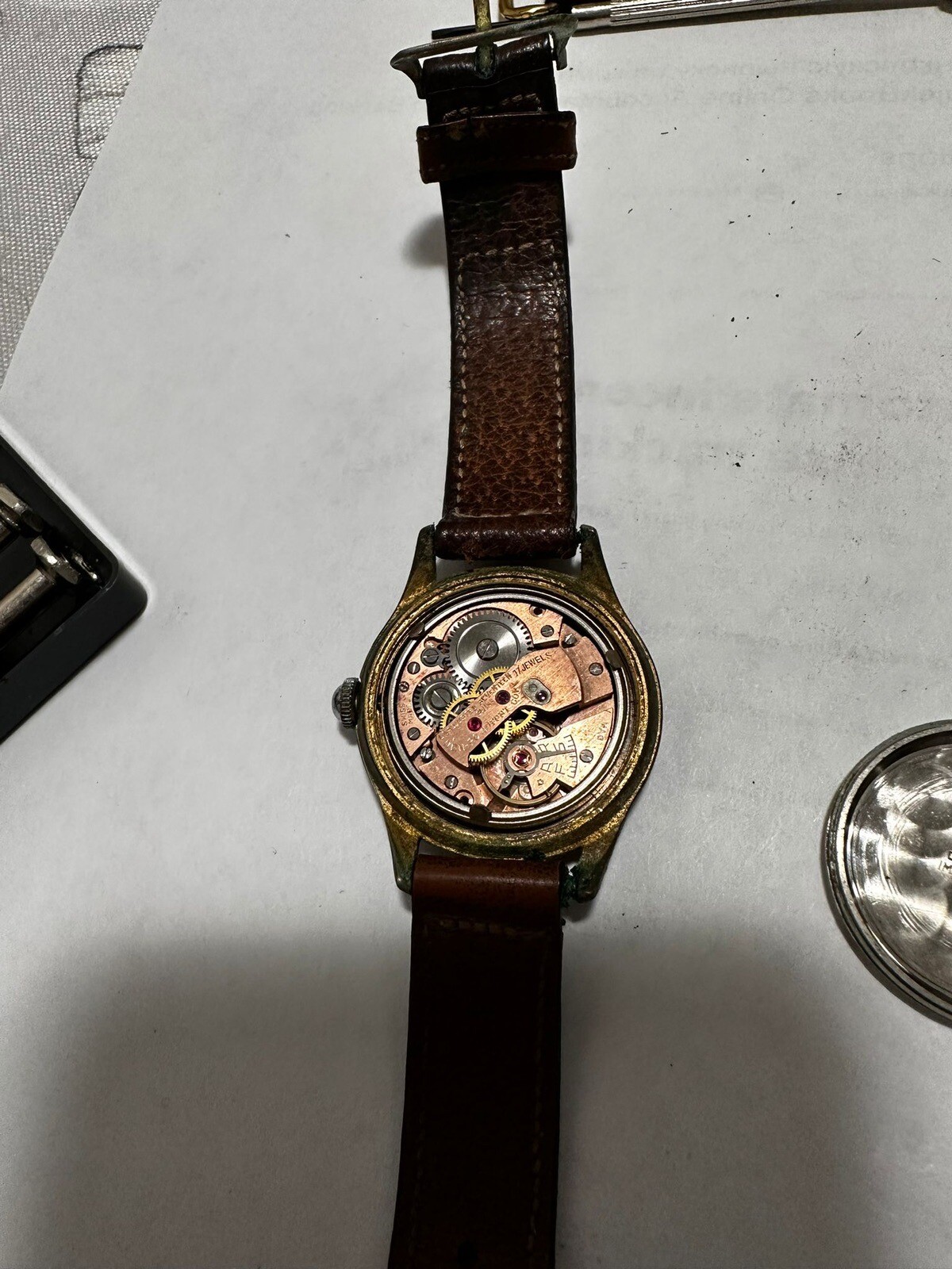 alpha watch - Gem