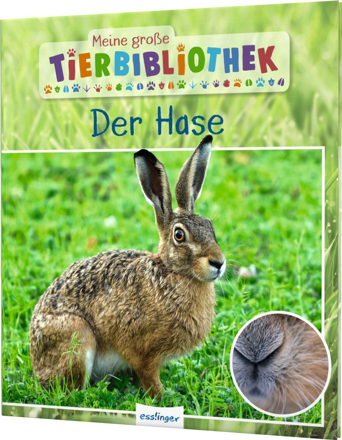 Thumbnail - Jens Poschadel Meine Große Tierbibliothek: Der Hase