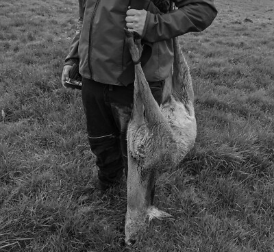 Barra Di Regolabile Per Porte Scorrevoli, Barra Di Regolabile In - Foto 5