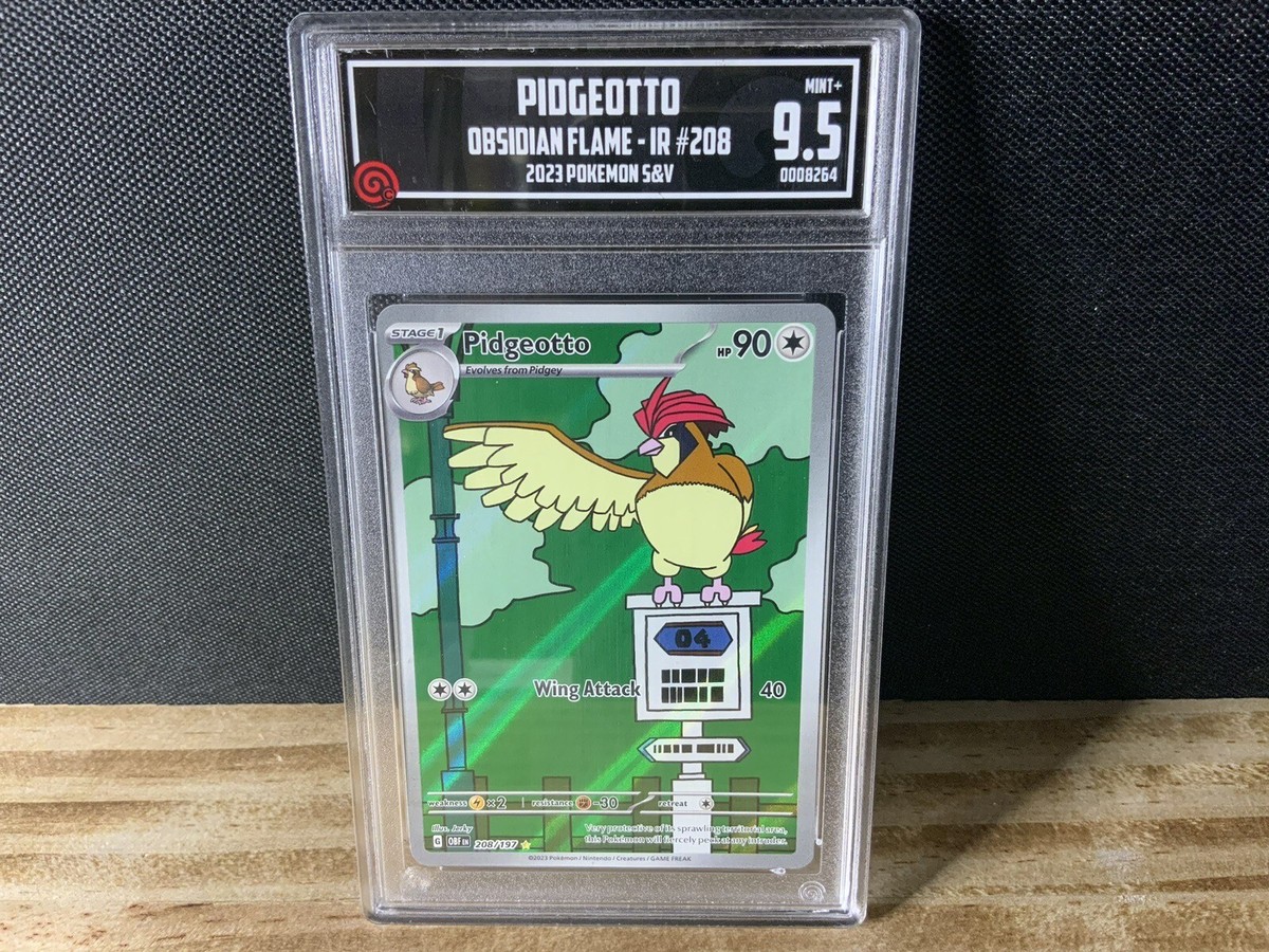 TCCG 9.5 Mint + Pidgeotto IR 208/197 2023 S&V Obsidian Flame