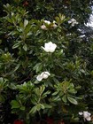 Foto 14 di 14