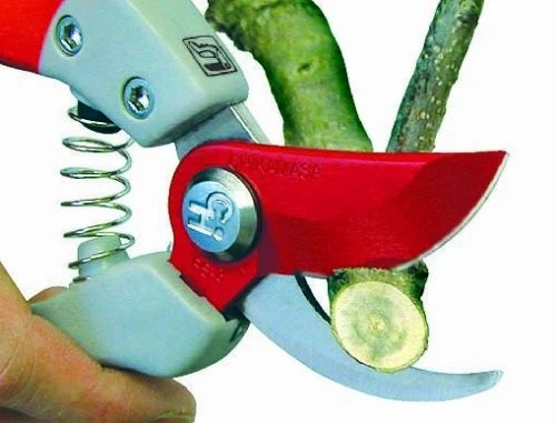 CHIKAMASA GARDEN Pruning Scissors Ultra Rosso 7 190mm PS-7Y Flower branch Japan - Image 4 of 4