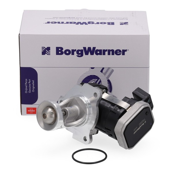 Borgwarner Agr-Ventil + Dichtung FüR Vw Sharan Seat Alhambra 2.0 Tdi 03G131501E-image