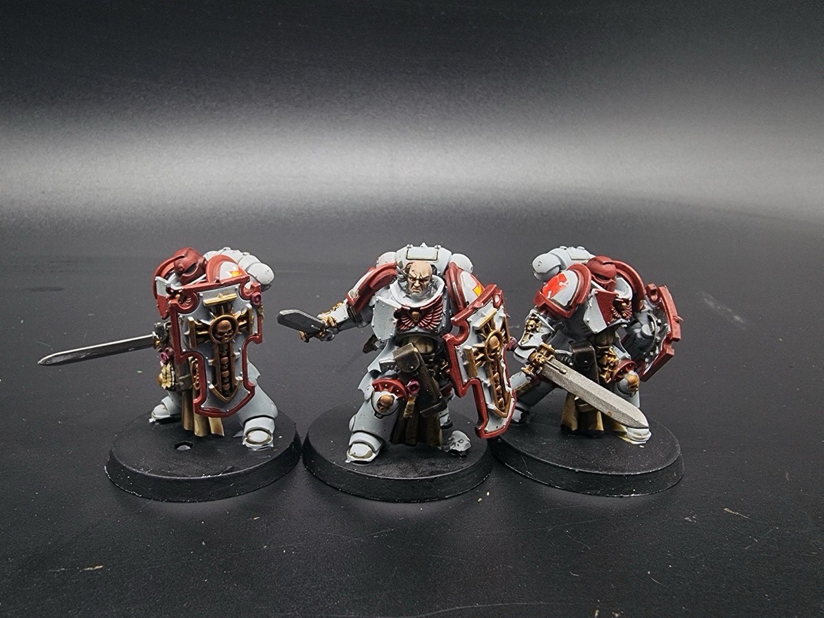 Warhammer 40k Bladeguard Veterans White Scars Pro painted made to