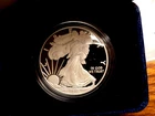 AMERICAN SILVER EAGLE 2010 PROOF WITH BOX AND COA 1 TROY OZ