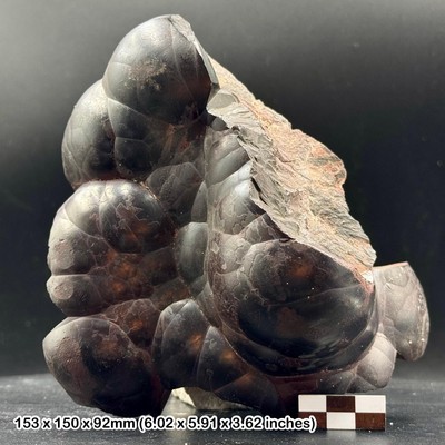 Britisches Hämatit Nierenerz - echtes natürliches Eisenoxid Mineral mit