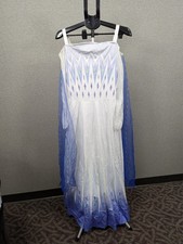 Disguise Women's Elsa Costume Official Disney Frozen 2 Elsa Medium 8-10