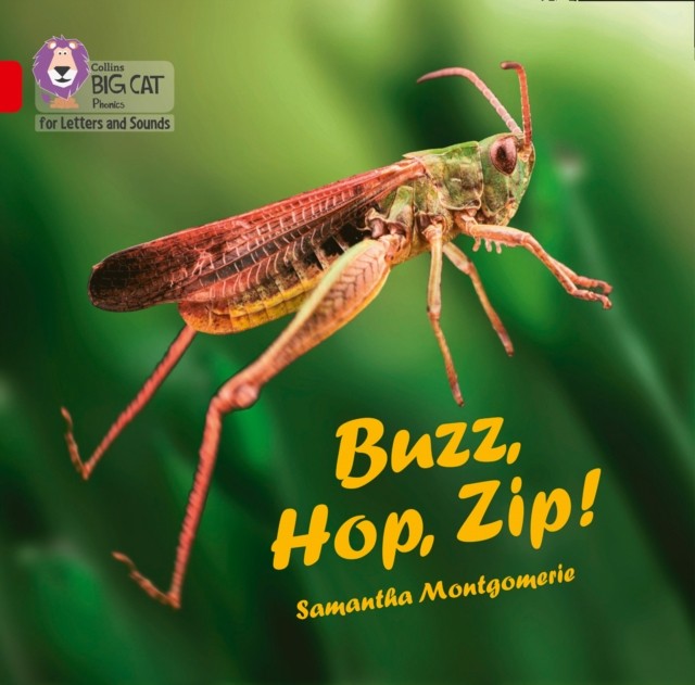 Buzz, Hop, Zip! Big Book Band 02a/Red a by Samantha Montgomerie (Big book)