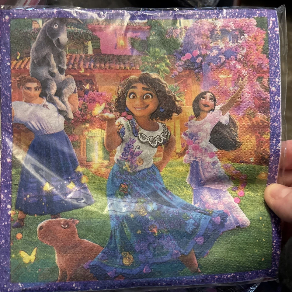 Encanto Fiesta Cumpleaños 20 Platos 20 Platos Pastel 20 Servilletas 1 Mantel Foto 3 de 4