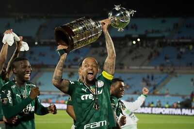 Valdivia #10 Palmeiras 2013/2014 Away (Centenary) ORIGINAL Adidas