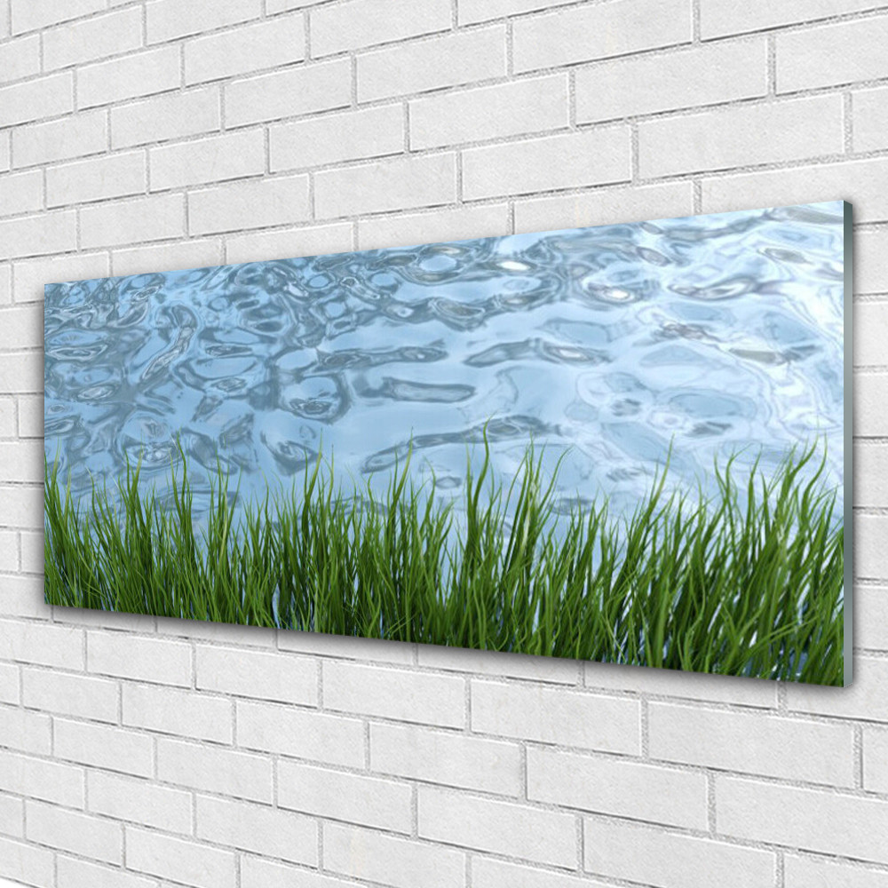 Tableau sous verre Tulup 125x50 cm motif Eau et Herbe pour une deco murale nature