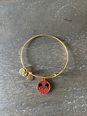 Minnie Mouse Earhat Gold Bangle