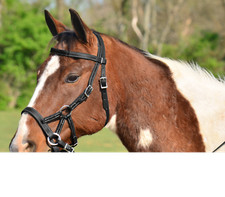 DRAFT HORSE SIZE Any Color SIDEPULL Bitless BRIDLE  REINS made w Beta Biothane