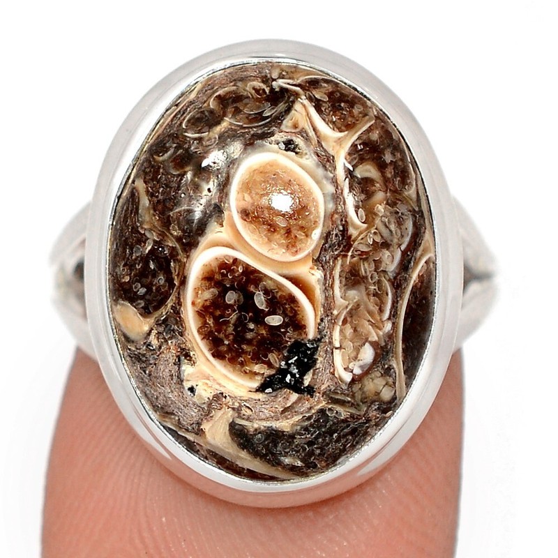 Natural Turtella Jasper - USA 925 Sterling Silver Ring Jewelry s.7.5 CR67909