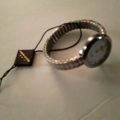Akribos XXIV Womens Silver Diamond Dial Watch Stretch slide  display picture 1