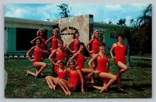Weeki Wachee Florida Spring Underwater Mermaid Ballet VTG Unposted Postcard