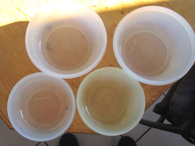 Tupperware 4 Hitparade 2 x 600 & 2 x 300 bunt gemischt gebraucht gut erhalten