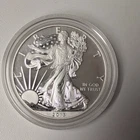 2013-W American Silver Eagle 1oz Enhanced Proof - Capsule Only - A298
