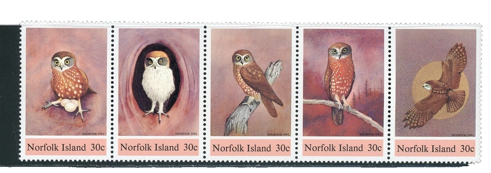 Aves Sellos Islander Norfolk australiana