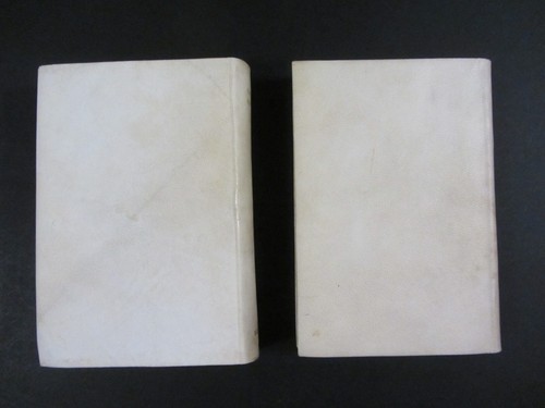 2 volumi GALILEO GALILEI Opere RIZZOLI 1936-38 illustrati RILEGATURA PERGAMENA - Imagen 3 de 10