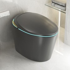 Smart Bidet Toilet with Auto Open/Close Seat, Foot Sensor, LED Display, Grey