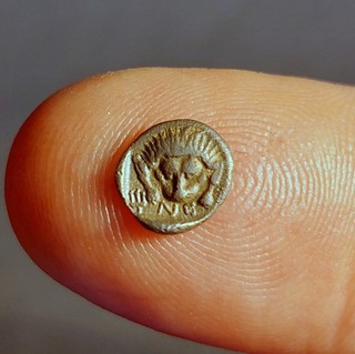 CARIA incertum AR Hemiobol lion lion NE very rare