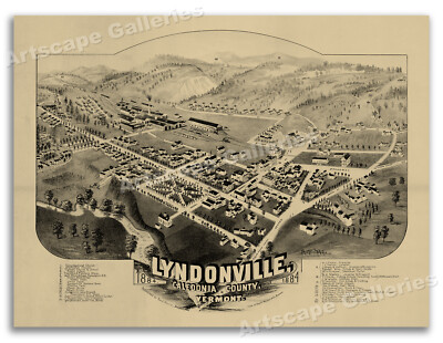 Lyndonville Vermont 1884 Historic Panoramic Town Map - 20x28