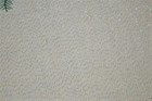 Foto 9 di 9